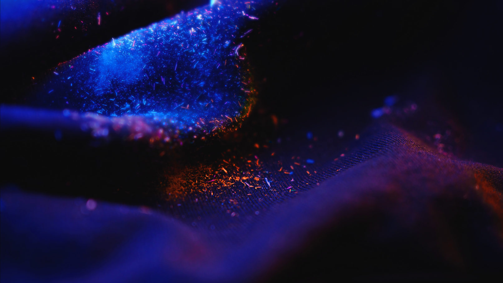 The Wingless John Burnett Macro Photography Distant Worlds grotto