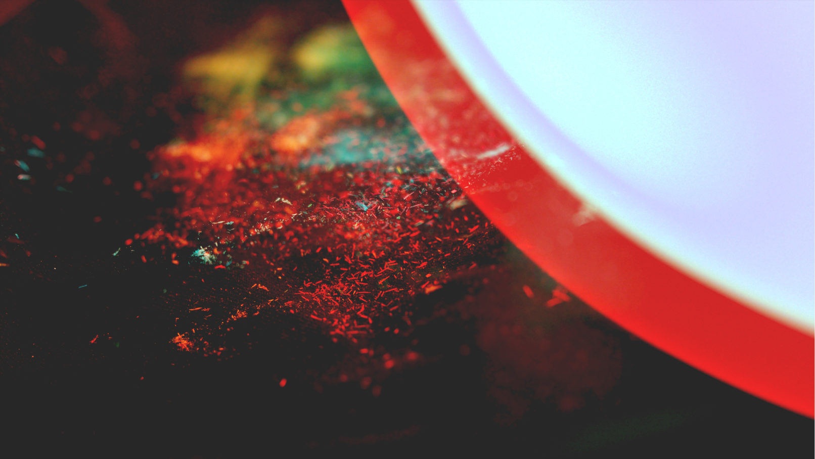 The Wingless John Burnett Macro Photography Distant Worlds flare