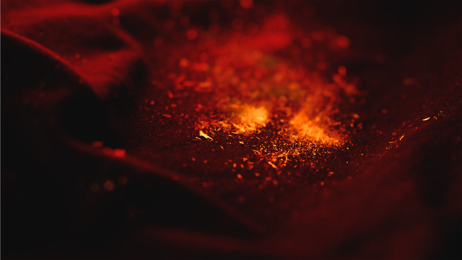 The Wingless John Burnett Macro Photography Distant Worlds fire