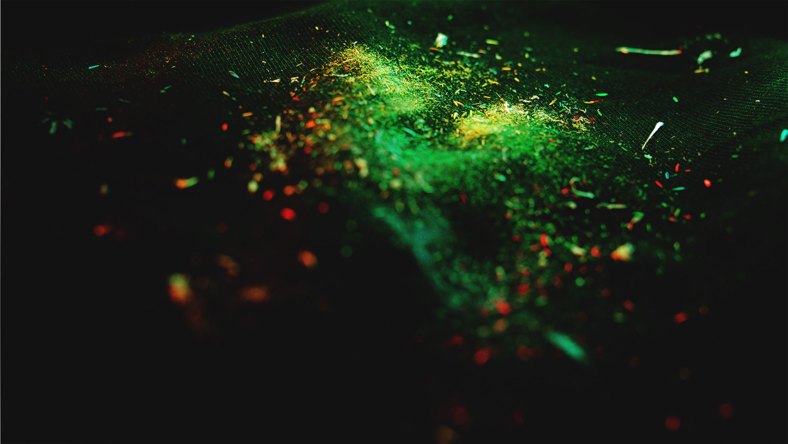 The Wingless John Burnett Macro Photography Distant Worlds wyrm