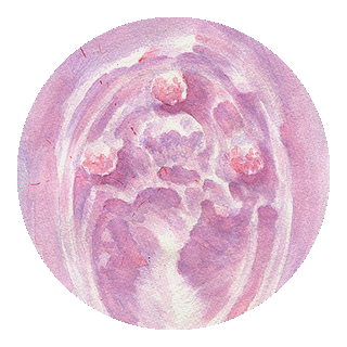 metroid poster for sale thumb